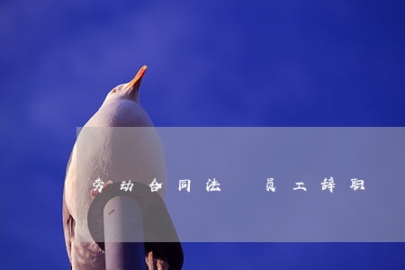 劳动合同法 员工辞职 劳动合同法 员工辞职